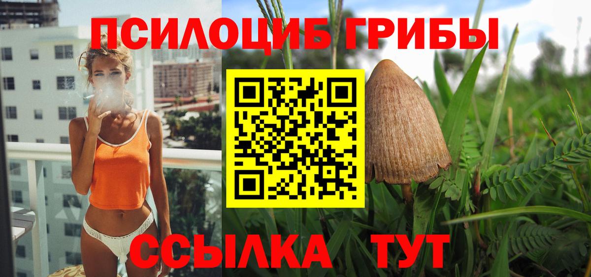 Псилоцибиновые грибы Cubensis  Вход с VPN  Саров 
